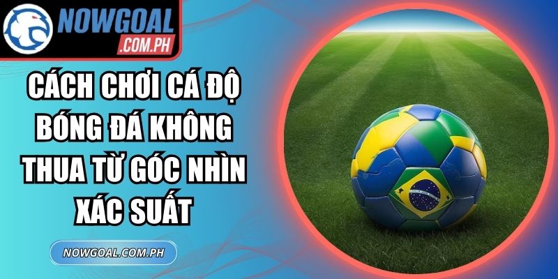 Cách Chơi Cá Độ Bóng Đá Không Thua