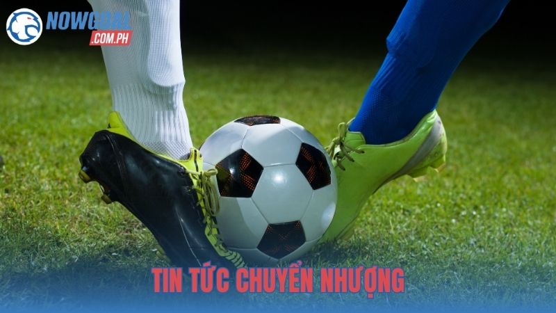 Cung cấp tin tức chuyển nhượng