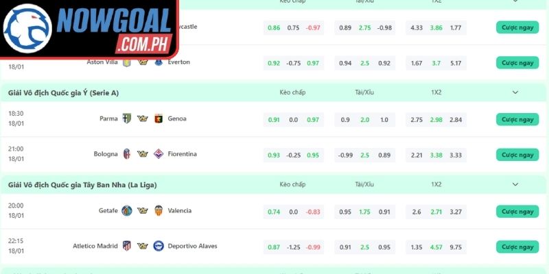 Khám phá chuyên mục livescore Nowgoal